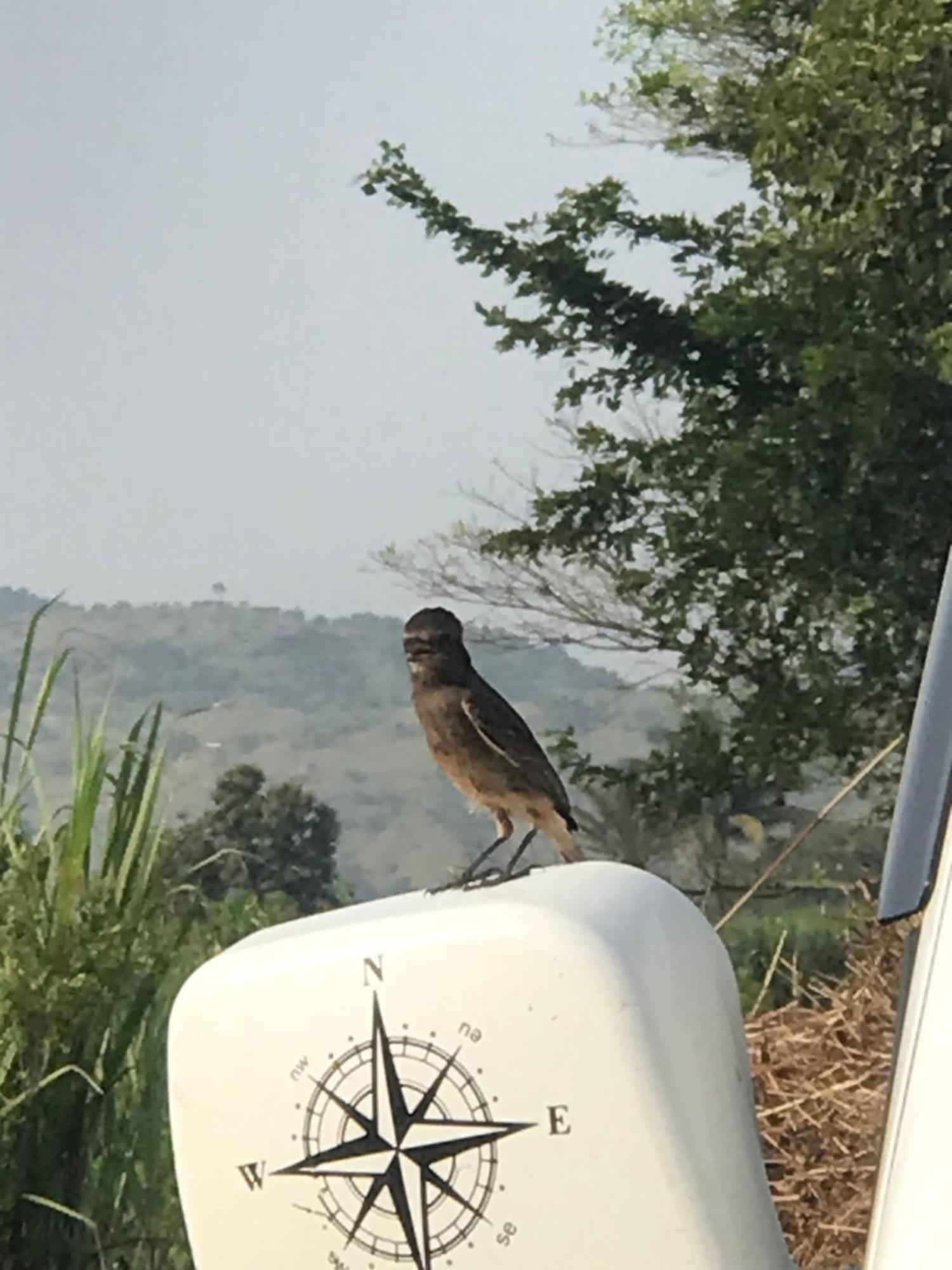 Ingawale Farmhouse Szatara Kültér fotó